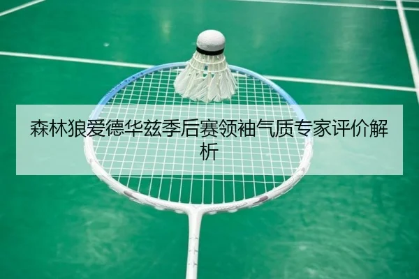 森林狼爱德华兹季后赛领袖气质专家评价解析